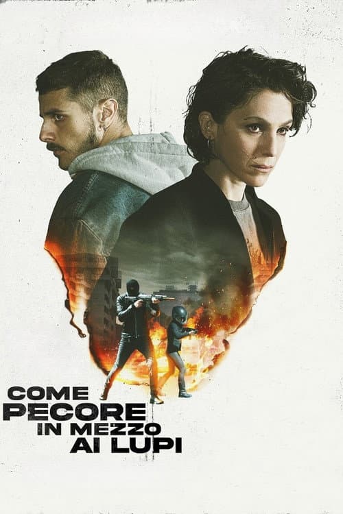 Like Sheep Among Wolves