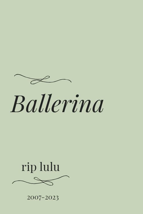 poster