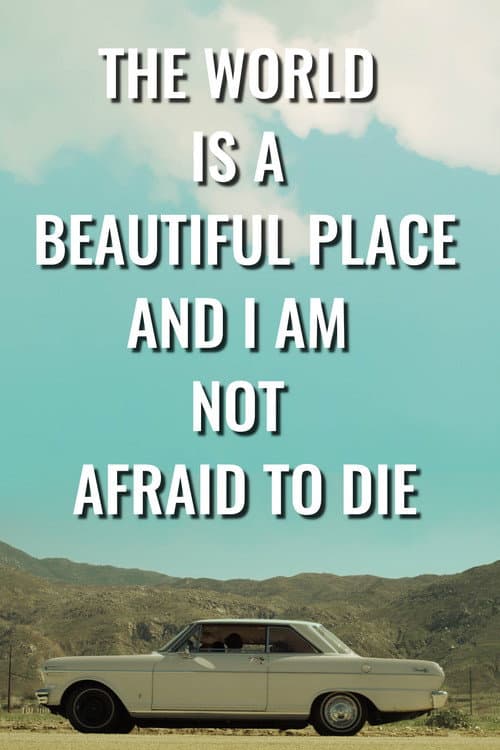 poster