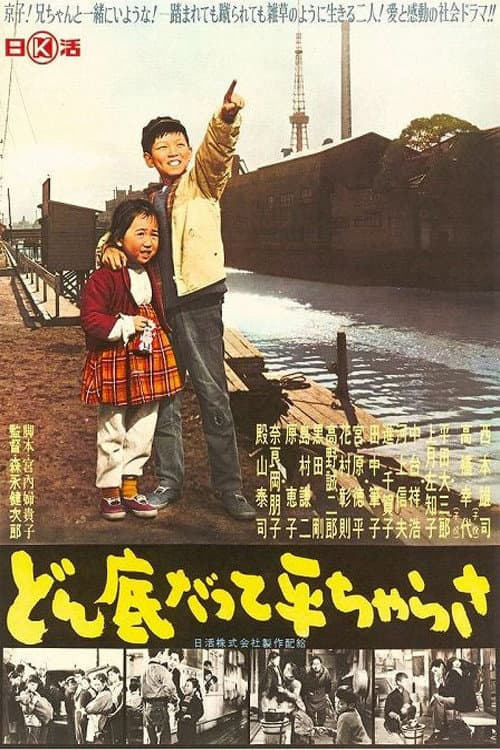 poster