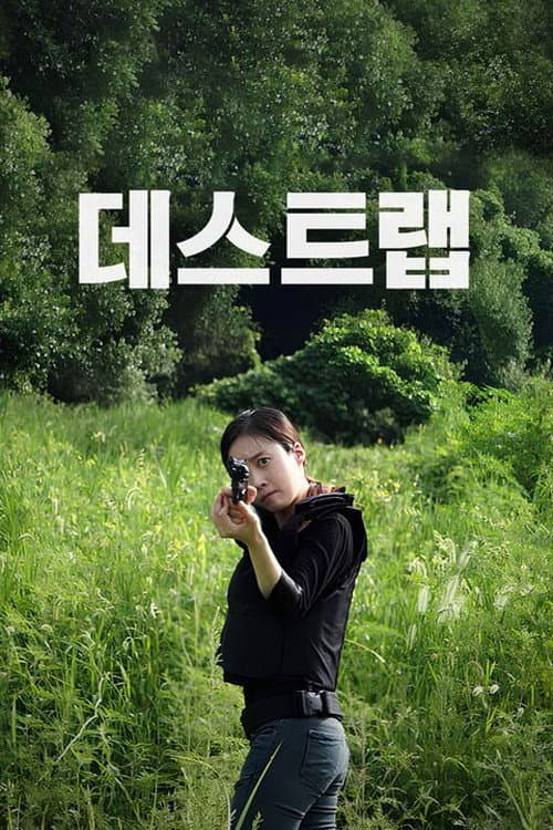 The DMZ